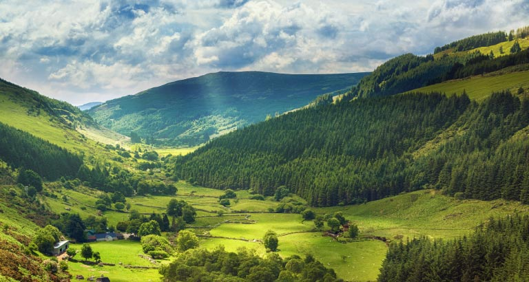 Bahreyn’in Doğal Parkları ve Vahşi Yaşam Alanları